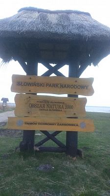 Grafika #11: Nasi harcerze podjęli się kolejnego wyzwania!