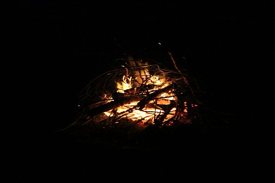 Grafika #30: Nasi harcerze podjęli się kolejnego wyzwania!