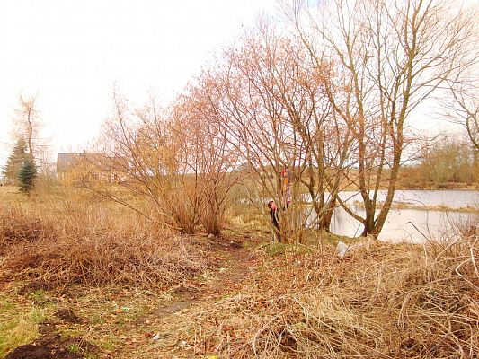 Grafika #1: Przedszkolaki witają wiosnę!