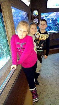 Grafika #1: Wycieczka przedszkolaków do Akwarium w Gdyni.