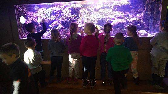 Grafika #0: Wycieczka przedszkolaków do Akwarium w Gdyni.