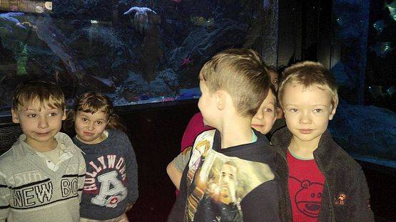 Grafika #4: Wycieczka przedszkolaków do Akwarium w Gdyni.