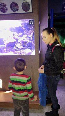 Grafika #5: Wycieczka przedszkolaków do Akwarium w Gdyni.