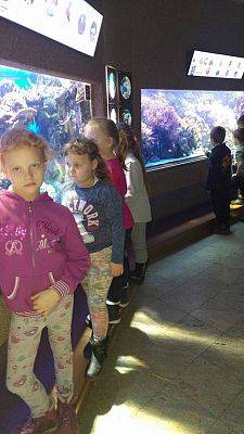 Grafika #6: Wycieczka przedszkolaków do Akwarium w Gdyni.