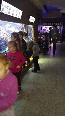 Grafika #8: Wycieczka przedszkolaków do Akwarium w Gdyni.