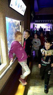 Grafika #9: Wycieczka przedszkolaków do Akwarium w Gdyni.