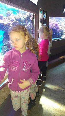 Grafika #12: Wycieczka przedszkolaków do Akwarium w Gdyni.