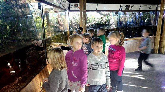 Grafika #13: Wycieczka przedszkolaków do Akwarium w Gdyni.