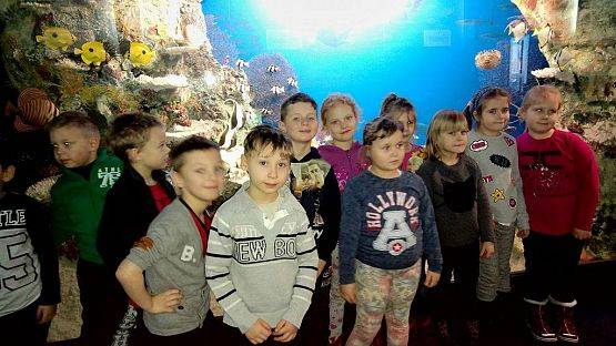 Grafika #14: Wycieczka przedszkolaków do Akwarium w Gdyni.