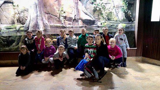 Grafika #15: Wycieczka przedszkolaków do Akwarium w Gdyni.