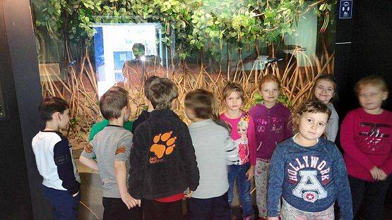 Grafika #16: Wycieczka przedszkolaków do Akwarium w Gdyni.