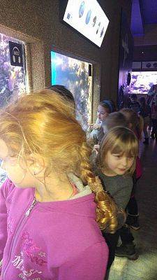 Grafika #17: Wycieczka przedszkolaków do Akwarium w Gdyni.