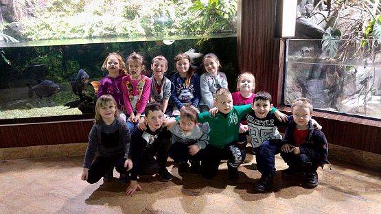 Grafika #19: Wycieczka przedszkolaków do Akwarium w Gdyni.