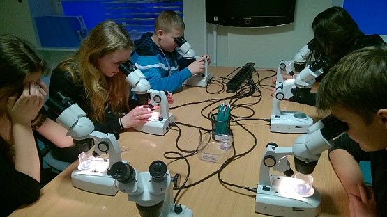 Grafika #7: Wyjazd klas gimnazjalnych