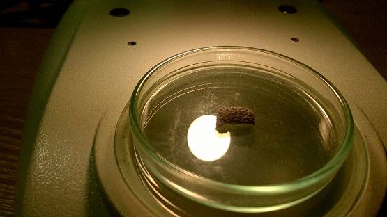 Grafika #8: Wyjazd klas gimnazjalnych