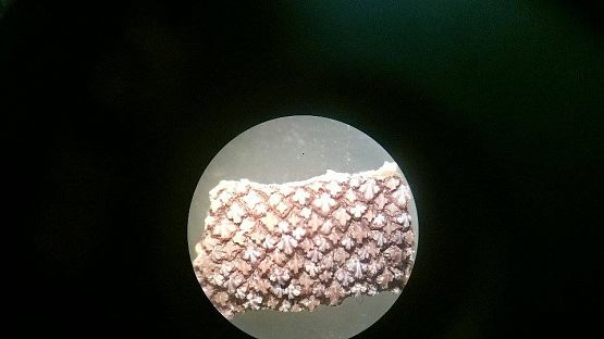 Grafika #9: Wyjazd klas gimnazjalnych