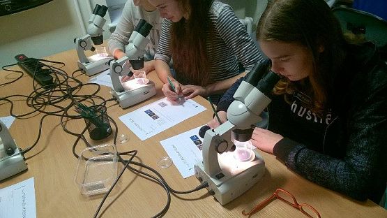 Grafika #10: Wyjazd klas gimnazjalnych