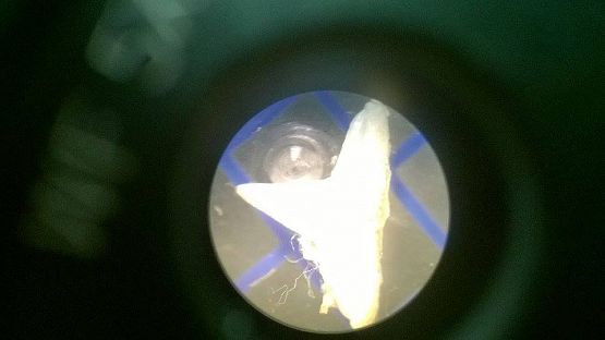 Grafika #13: Wyjazd klas gimnazjalnych