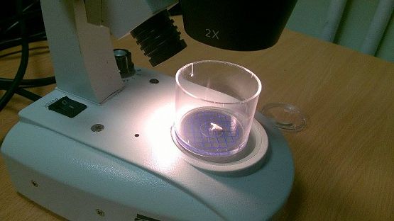 Grafika #14: Wyjazd klas gimnazjalnych