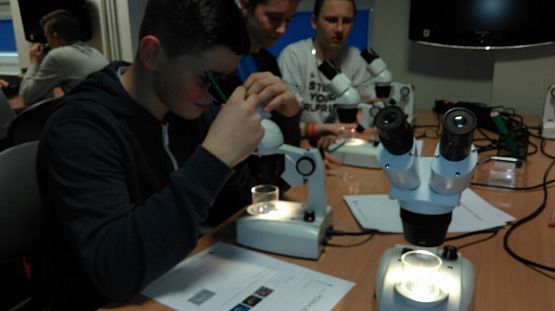 Grafika #3: Wyjazd klas gimnazjalnych