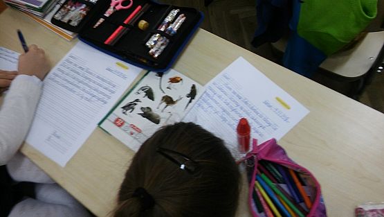 Grafika #14: IIa pisze listy do rówieśników z Nowej Wsi Lęborskiej