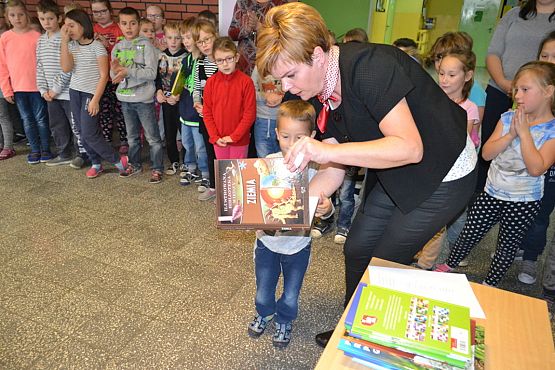 Grafika #9: PODSUMOWANIE ZBIÓRKI KASZTANÓW I ŻOŁĘDZI.