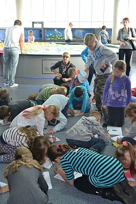 Grafika #9: Bałtyk pod kaszubską banderą