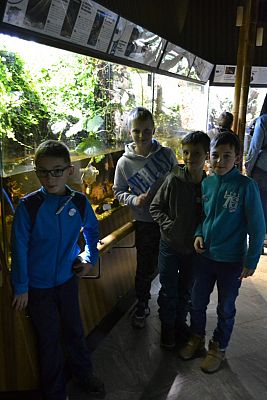 Grafika #12: Bałtyk pod kaszubską banderą