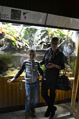 Grafika #14: Bałtyk pod kaszubską banderą