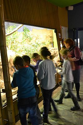 Grafika #11: Bałtyk pod kaszubską banderą