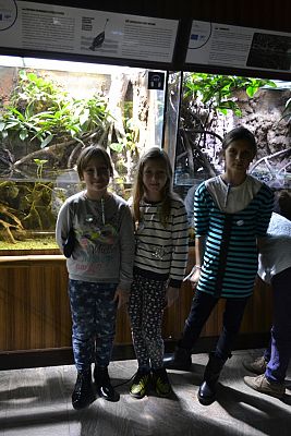 Grafika #13: Bałtyk pod kaszubską banderą