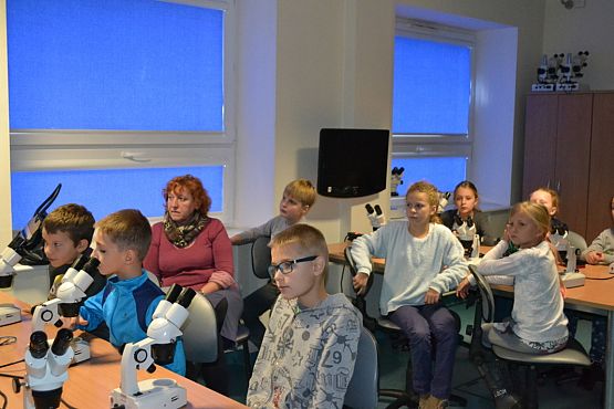 Grafika #0: Bałtyk pod kaszubską banderą