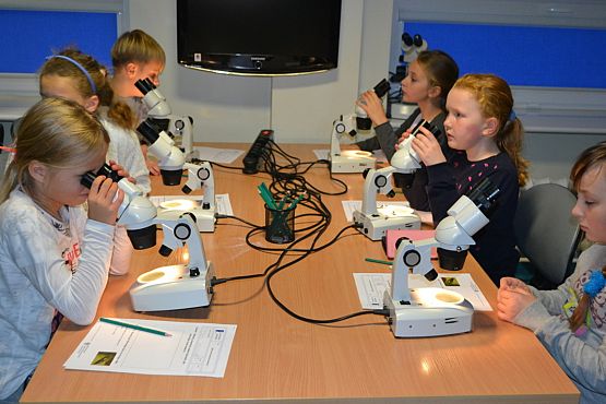 Grafika #2: Bałtyk pod kaszubską banderą