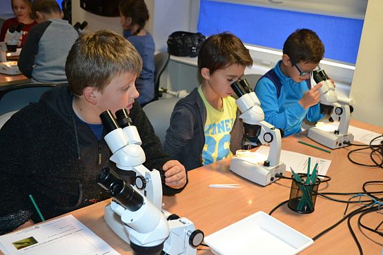 Grafika #5: Bałtyk pod kaszubską banderą