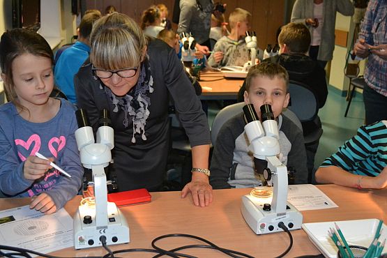 Grafika #7: Bałtyk pod kaszubską banderą