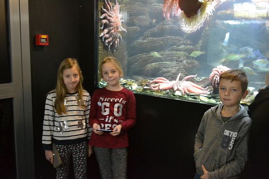 Grafika #16: Bałtyk pod kaszubską banderą