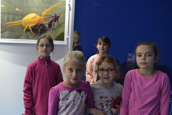 Grafika #1:  Kaszuby na fali