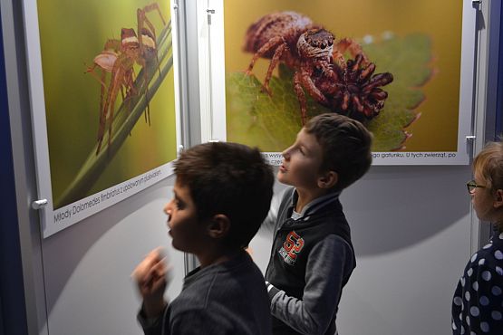 Grafika #2:  Kaszuby na fali