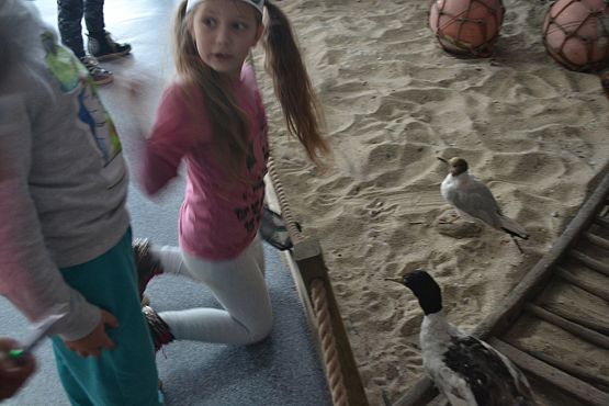 Grafika #13:  Kaszuby na fali