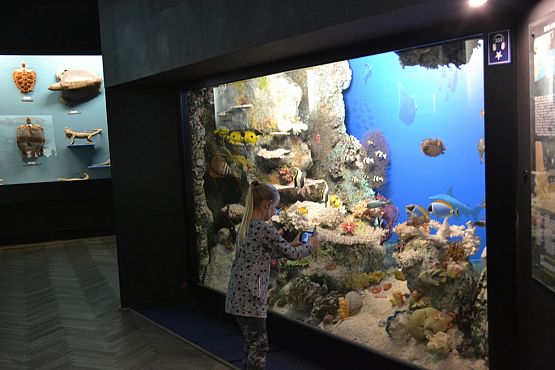 Grafika #14:  Kaszuby na fali