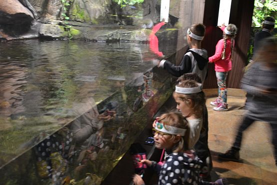 Grafika #16:  Kaszuby na fali