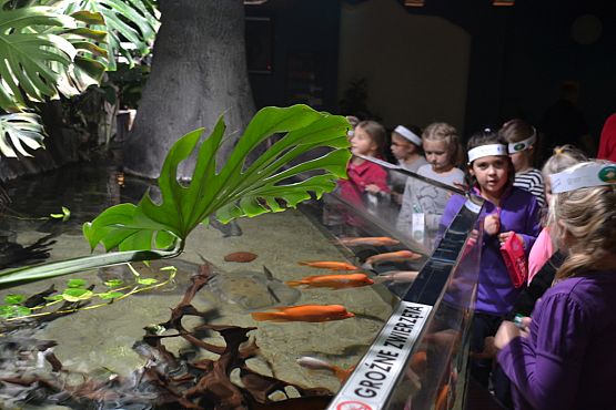 Grafika #17:  Kaszuby na fali