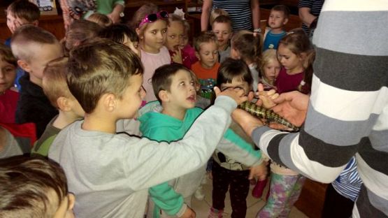 Grafika #1: Wyjazd do Tuchlina