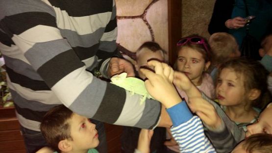 Grafika #3: Wyjazd do Tuchlina