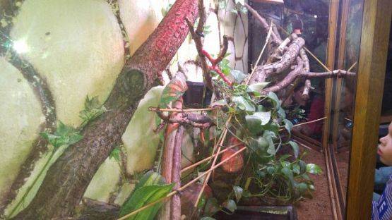 Grafika #4: Wyjazd do Tuchlina