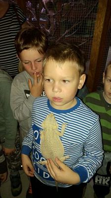 Grafika #5: Wyjazd do Tuchlina