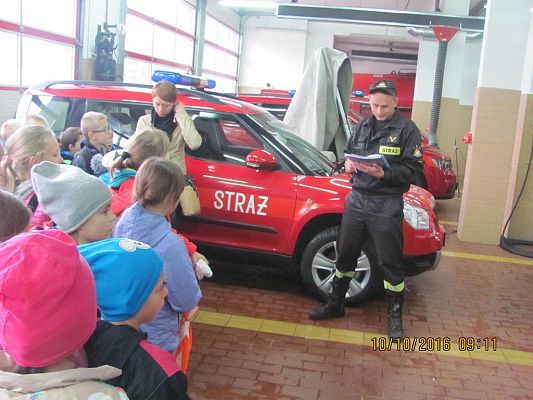 Grafika #1: Państwowa Straż Pożarna