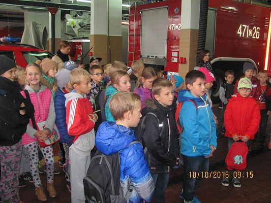 Grafika #2: Państwowa Straż Pożarna