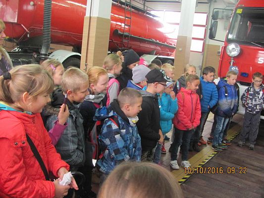 Grafika #3: Państwowa Straż Pożarna