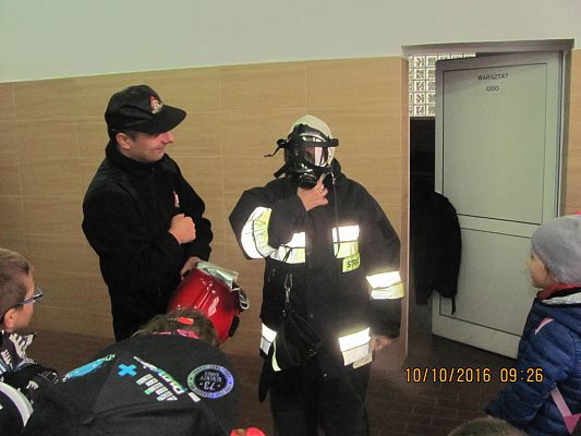 Grafika #5: Państwowa Straż Pożarna